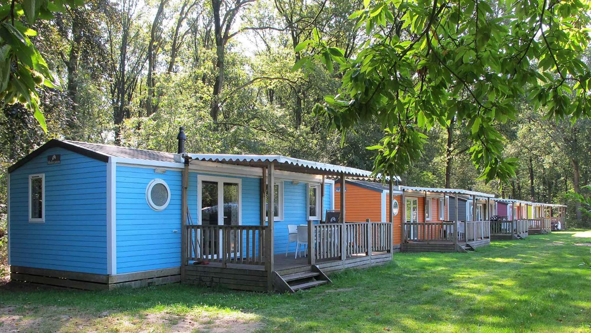 Molecaten Park Landgoed Ginkelduin Leersum Pokój zdjęcie